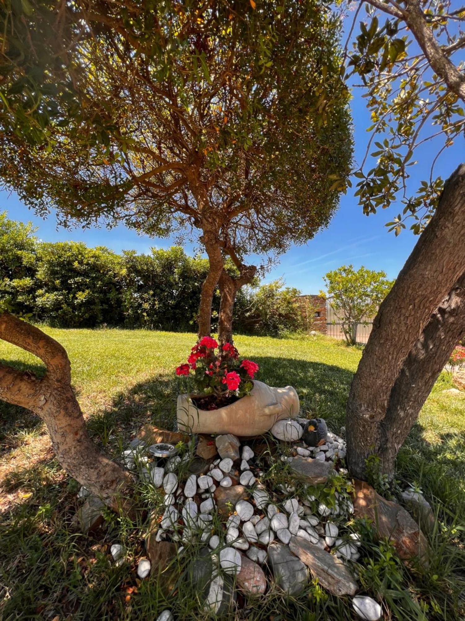 Villa Patrizia Stintino Eksteriør billede